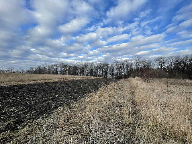 Продаж ділянки с. Підгородне Подгородное - изображение 4