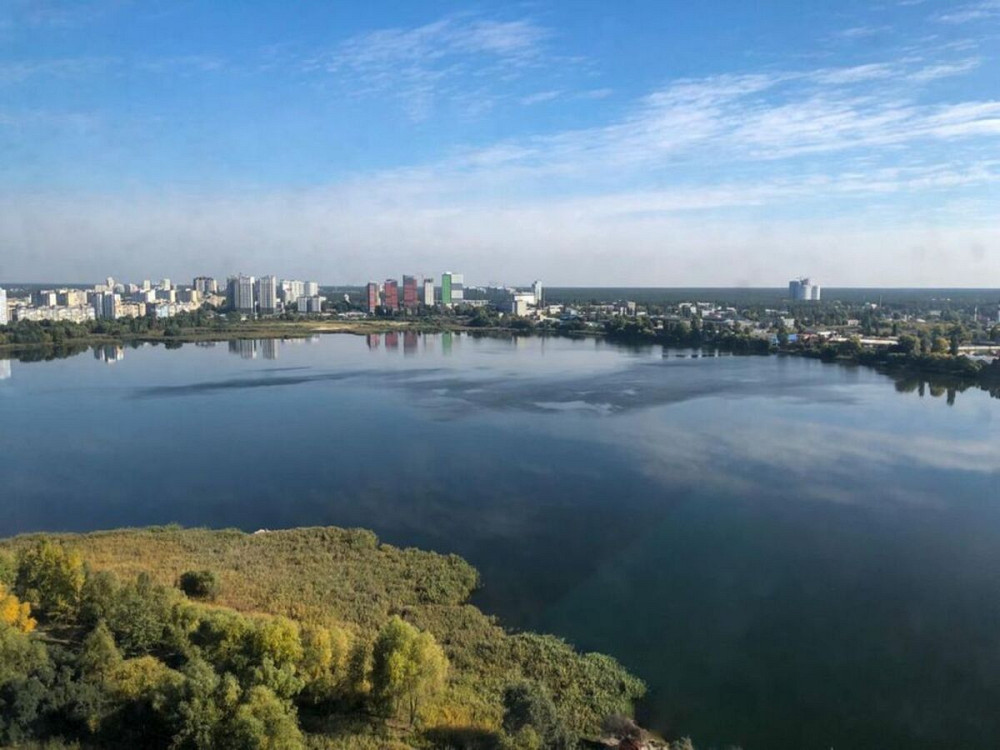 Продаж Квартира 2-кімнатна, 24/25 поверх на Вирлицька, 102 Киев - изображение 9