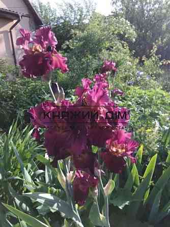 Продажа капитальный 2-эт. дом в с. Шпитьки Киево-Святошинского р-на. 229380 