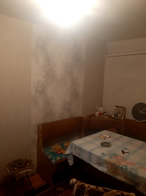 СРОЧНО!!! Продам дом в пос. Большевик (г.Одесса) Одеса - фото 14