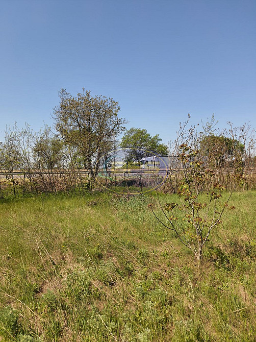 Продаж земельної ділянки 3.39 га Нерубайське - фото 10