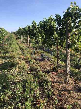 Продаж земельної ділянки 7.72 га на вул. 1 Овідіополь