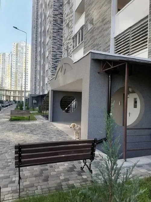 Продаж Квартира 2-кімнатна, 15/25 поверх на Ревуцького, 54А Киев - изображение 16