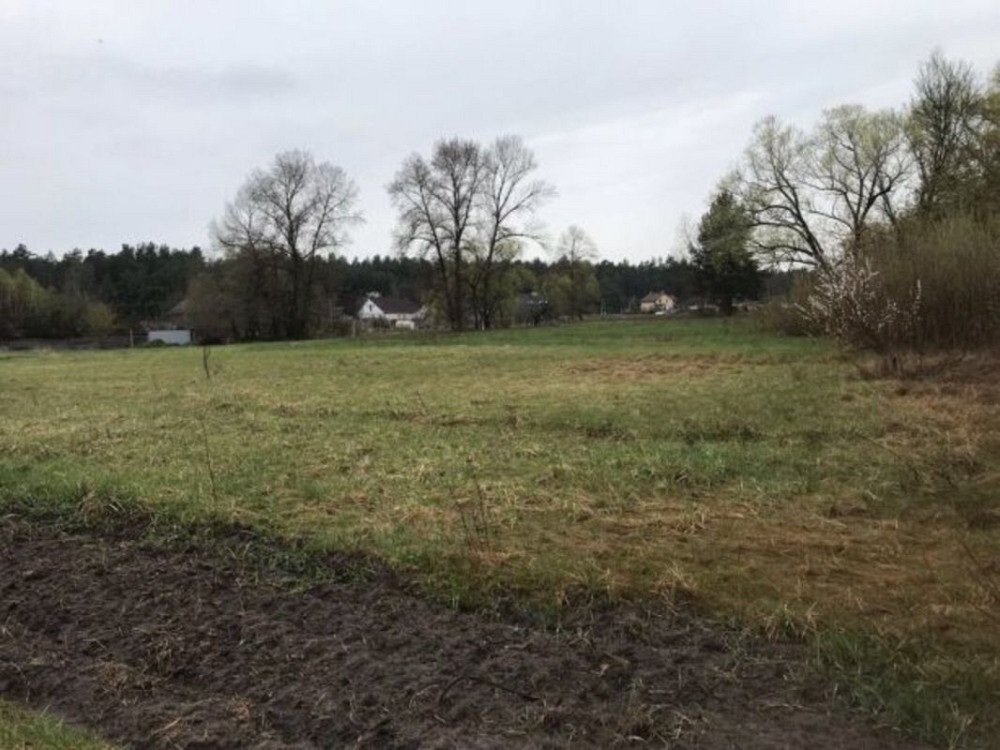 Продаж земельної ділянки 41 соток на Комсомольская Проців - фото 5