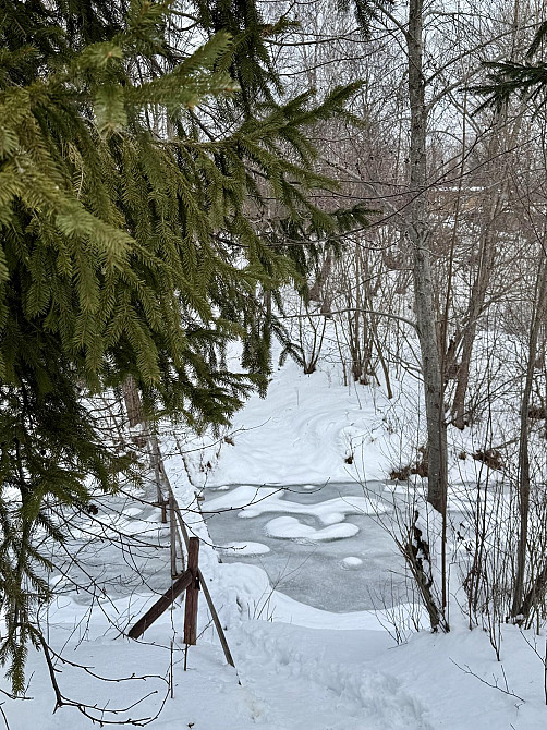 Продаж земельної ділянки 10 соток Урич - фото 12