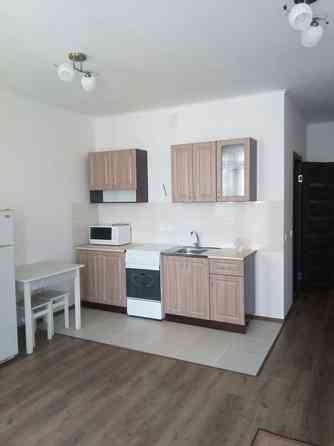 Оренда Квартира 1-кімнатна, 8/25 поверх на ул. Елены Пчилки, 3 Kiev