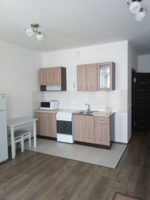 Оренда Квартира 1-кімнатна, 8/25 поверх на ул. Елены Пчилки, 3 Kiev - photo 1