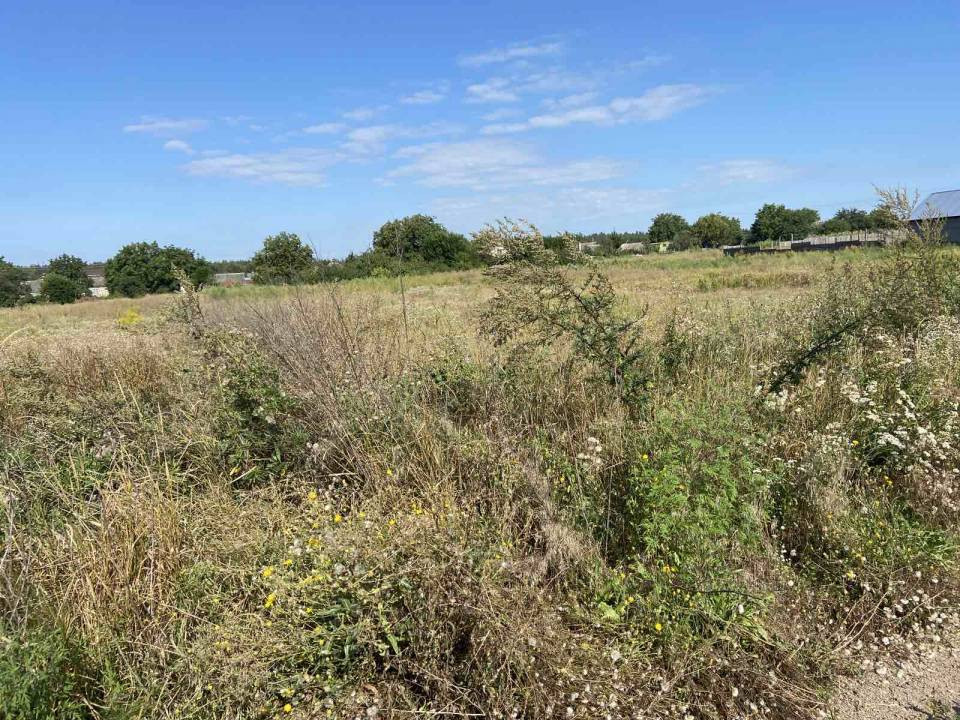 Продаж земельної ділянки на , Руська Поляна - фото 3