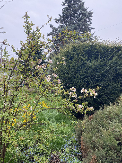 Дом-усадьба у моря и Дубовой рощи — место, где хочется жить Одеса - фото 17