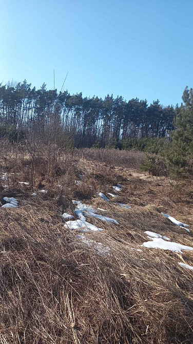 Продаж земельної ділянки 21 соток Клевань - фото 4