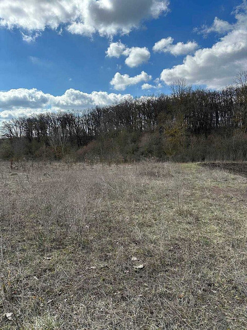 Продаж земельної ділянки 12 соток Байківці - фото 3