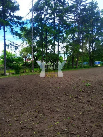 Продажа земельного участка  площадь 26.94 сот Просвіти (1 Травня) вулиця 1  - изображение 7