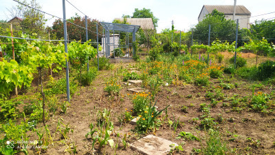 Продаж земельної ділянки 0.1 соток на переулок Стуса, 3 Великая Балка - изображение 15