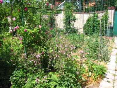 Продаж комерційне приміщення на ул. Успенская, 48 приміщень - 4, поверх - 1 Odessa