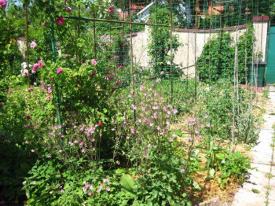 Продаж комерційне приміщення на ул. Успенская, 48 приміщень - 4, поверх - 1 Одеса - фото 4