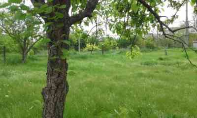 Продаж земельної ділянки 0.1 соток на ул. Гаршина, 13 Одеса