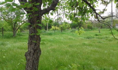 Продаж земельної ділянки 0.1 соток на ул. Гаршина, 13 Одеса - фото 2