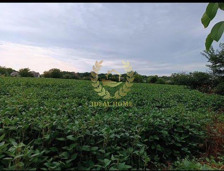 Продаж Будинок 3-кімнатний на Полевая ул., 6  - изображение 19