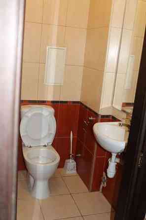 Оренда Квартира 2-кімнатна, 19/19 поверх на ул. Елены Пчилки Київ