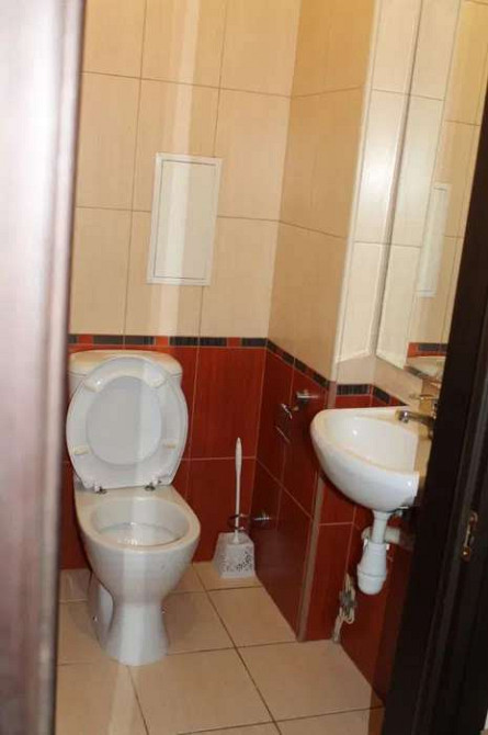 Оренда Квартира 2-кімнатна, 19/19 поверх на ул. Елены Пчилки Київ - фото 5