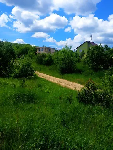 Продажа земельного участка  площадь 46 сот Лісова вулиця  - изображение 3