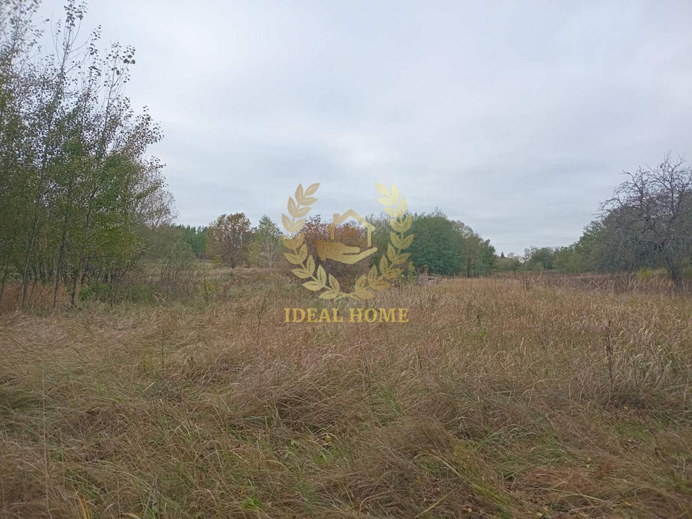 Продам будинок з великою земельною ділянкою в с.Заруддя  - фото 14