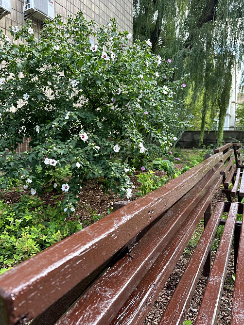 Продаж Квартира 3-кімнатна, 5/16 поверх на Тарасівська вул., д. 36-А Kiev - photo 5