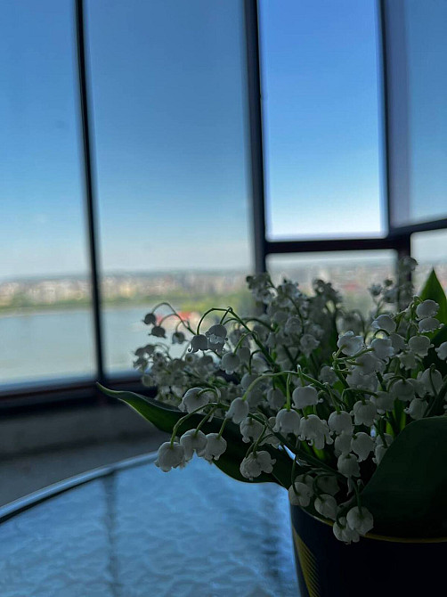 Продаж Квартира 5-кімнатна, 14/16 поверх на Гетьмана Мазепи Івано-Франківськ - фото 15