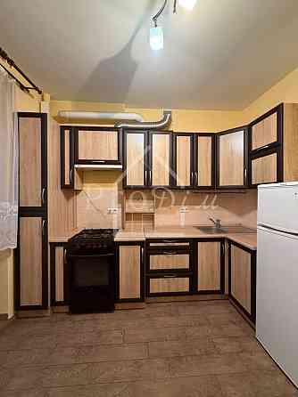 Оренда Квартира 1-кімнатна, 6/9 поверх на Героїв Небесної Сотні, 181 