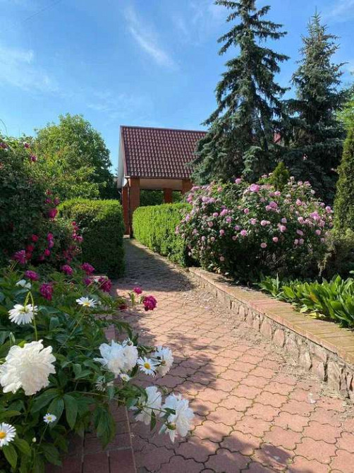 Оренда Квартира на ул. Виноградная Київ - фото 2