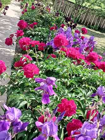 Продаж земельної ділянки 10 соток на Малинський р-н Житомир