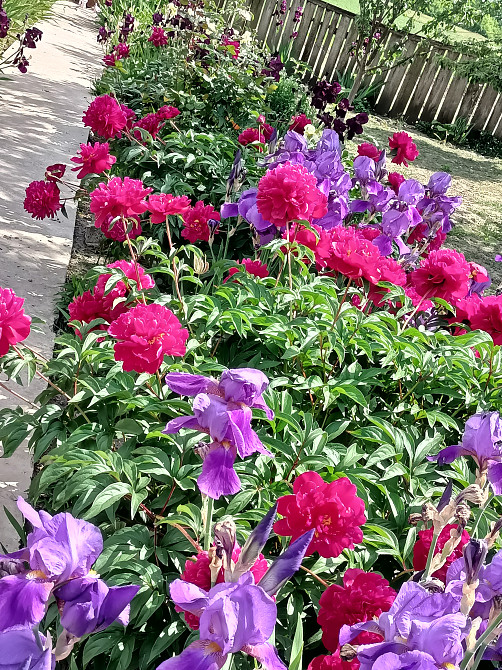 Продаж земельної ділянки 10 соток на Малинський р-н Житомир - фото 2