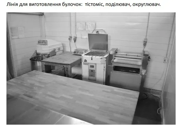 For sale Separate Building / Part Of Building area 910 sq.m  at мукачево Mukacheve - photo 15