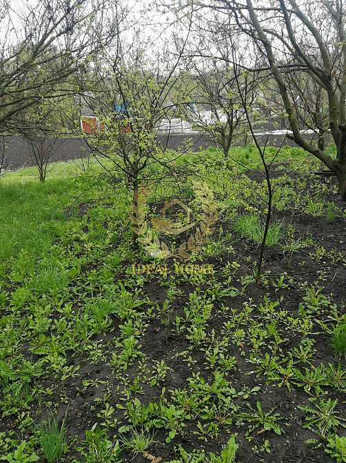 Продаж 1 поверхового будинку с. Устимівка Ustymivka - photo 10