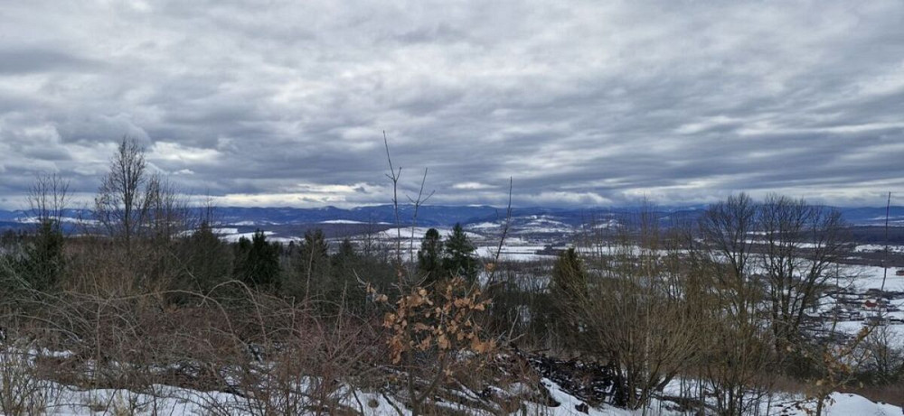 Продаж земельної ділянки 29 соток Жураки - фото 7