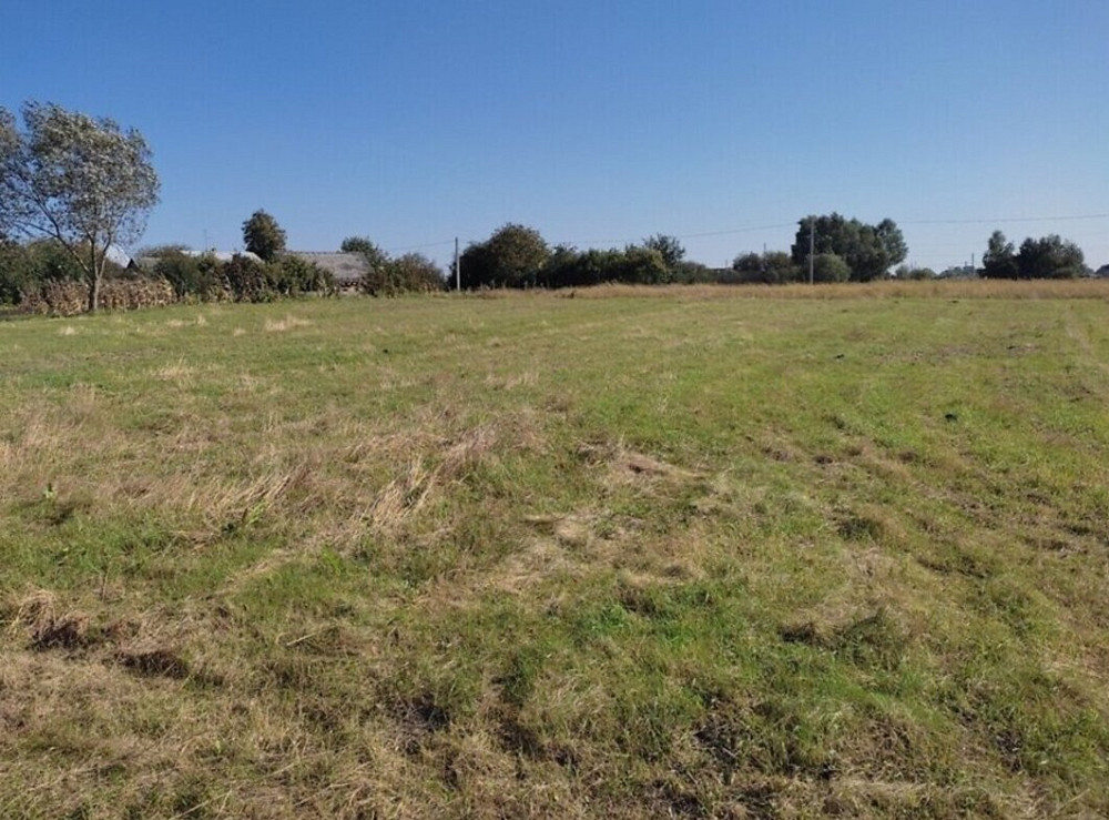 Продаж земельної ділянки 9 соток на Кременецька Боновка - изображение 7