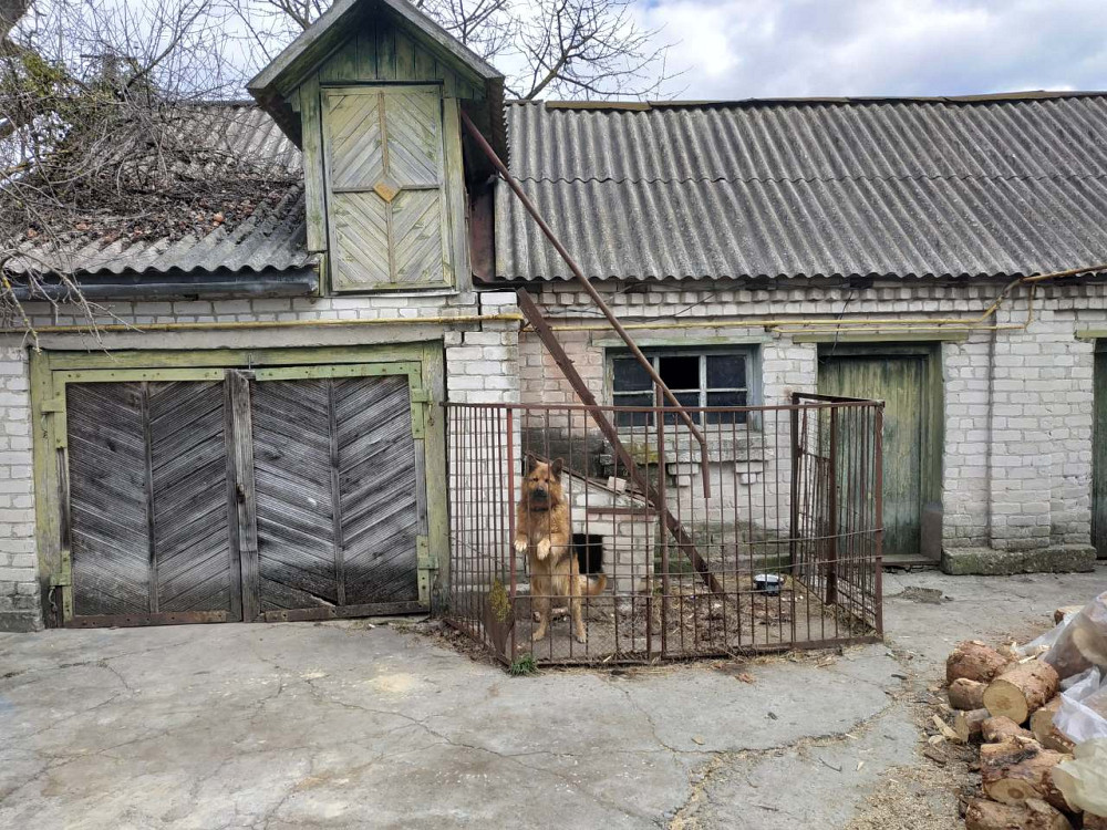 Продаж 2-поверховий Будинок з ділянкою 25 сот 98 кв.м 4 кімн. на Слобода Селецкая Zhytomyr - photo 4