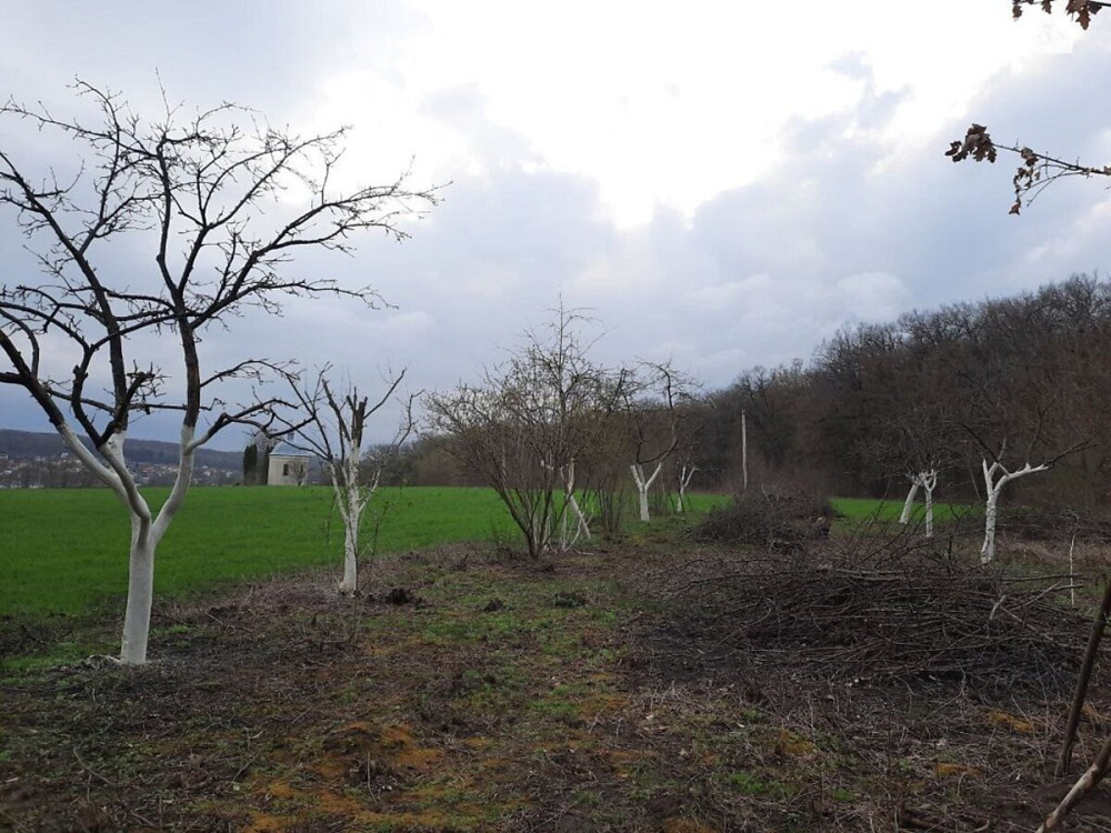 Продаж земельної ділянки 40 соток  - фото 17