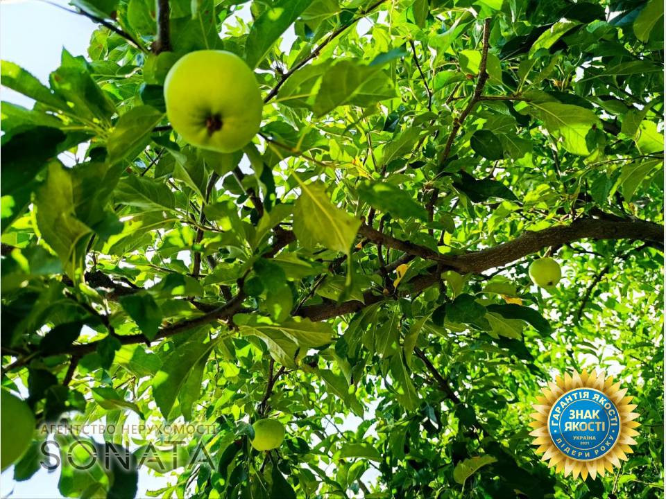 Продаж 1-поверховий Будинок  69.4 кв.м 4 кімн. на вул. Різдвяна Черкаси - фото 16