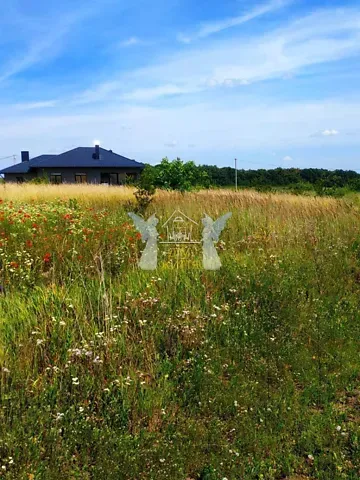 Продажа земельного участка  площадь 9.72 сот Богата вулиця  - изображение 7