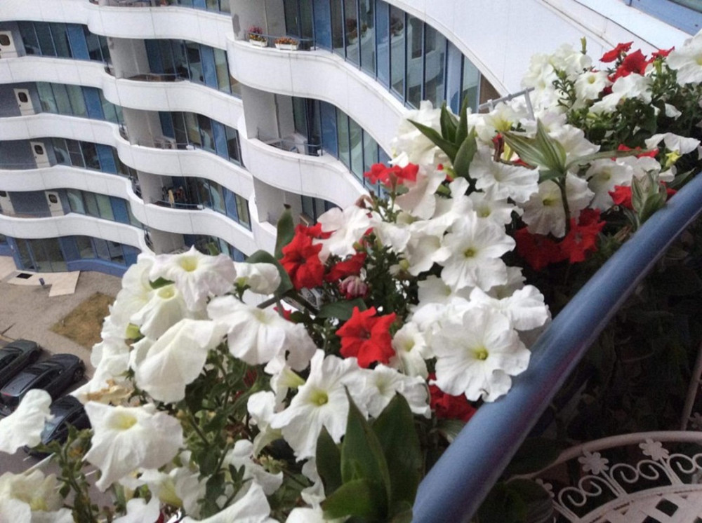 Продаж Квартира 2-кімнатна, 9/16 поверх на Литературная ул., 1а Одесса - изображение 2