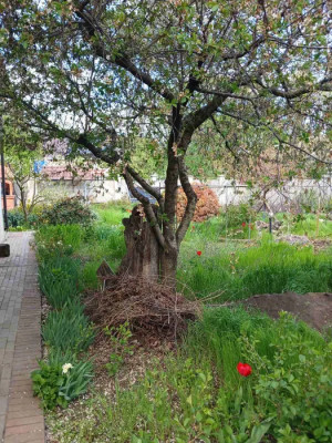 Продаж земельної ділянки 0 соток на ул. Марии Демченко 3-я линия, 8 Одесса - изображение 3