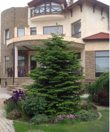 3-этажный дом 700 м² на Таирова Одеса