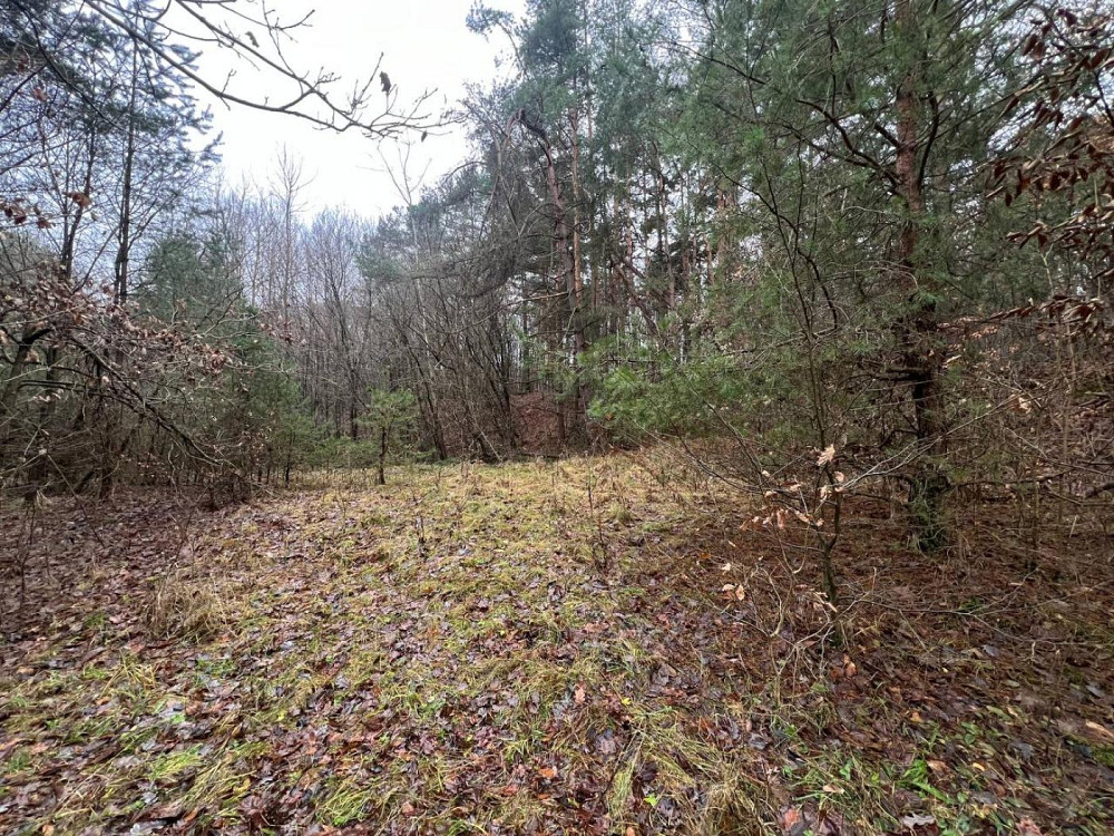 Продаж Квартира на улица Замарстинівська L'viv - photo 5