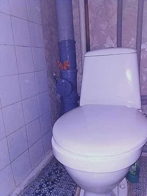 Оренда Квартира 2-кімнатна, 6/9 поверх на ул. Славгородская Київ - фото 3