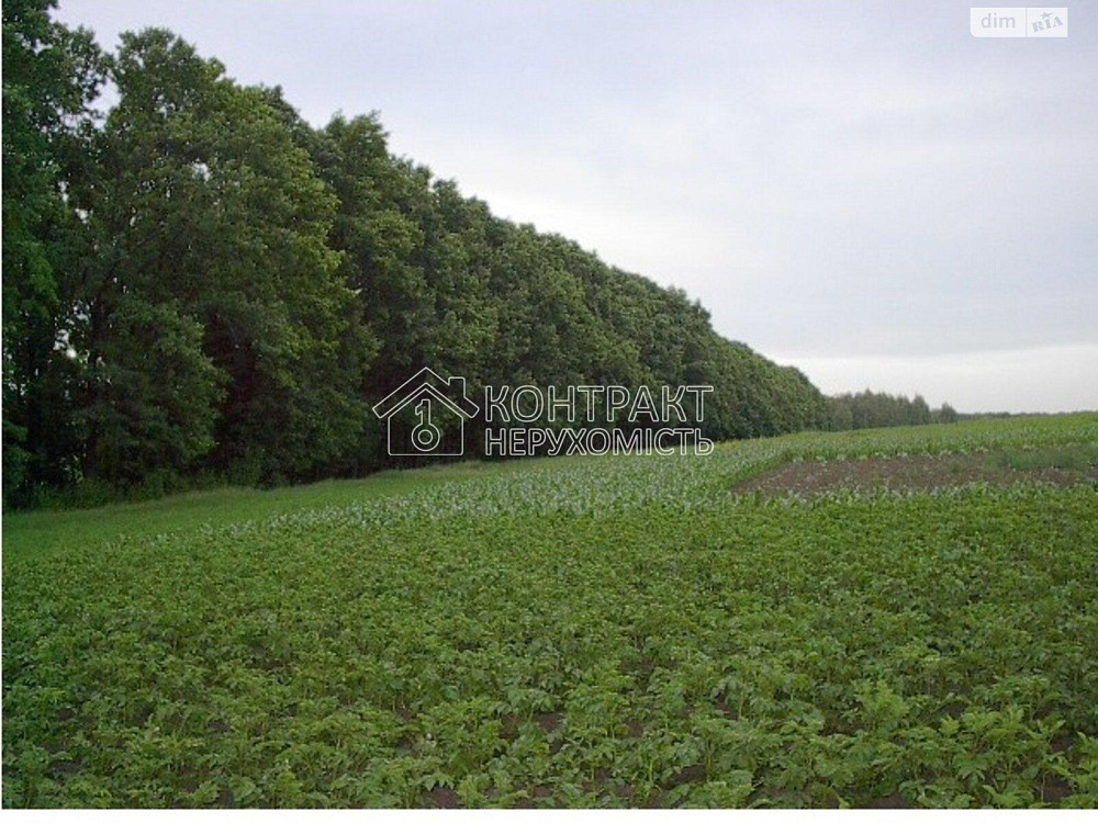 Продаж Будинок 4-кімнатний на вул. провулок Польовий Люботин - фото 19