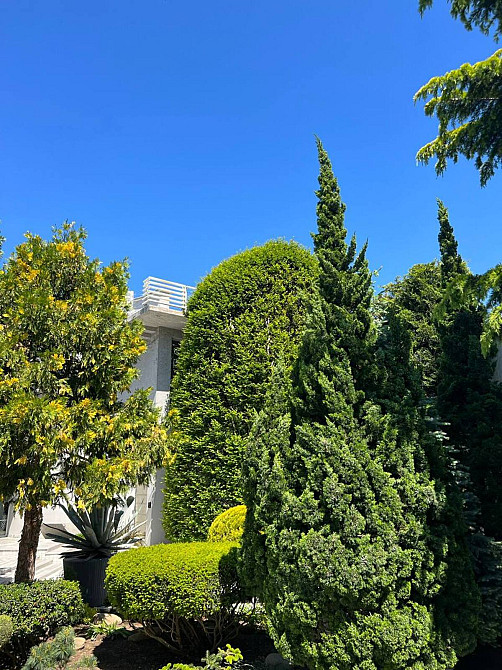 Продаж Будинок на Ахматовой ул. Одесса - изображение 8