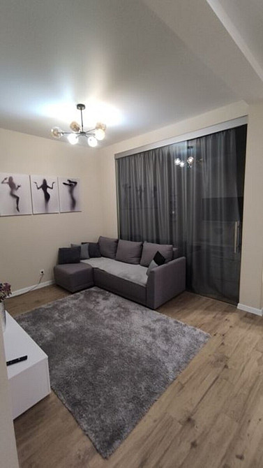 Оренда Квартира 1-кімнатна, 8/10 поверх Kiev - photo 4