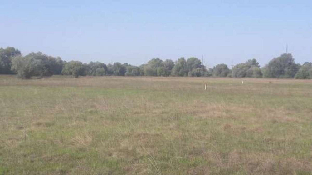 Продаж земельної ділянки 15 соток Вишеньки - фото 3