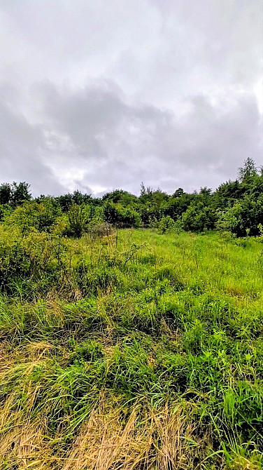 Продаж земельної ділянки 14 соток на урочище за плотами  - photo 6